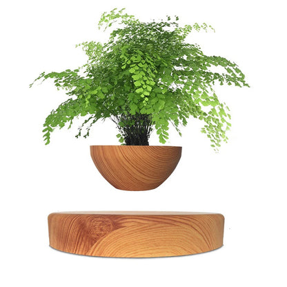 Floating Magnetic Bonsai Pot - Explore Ethereal