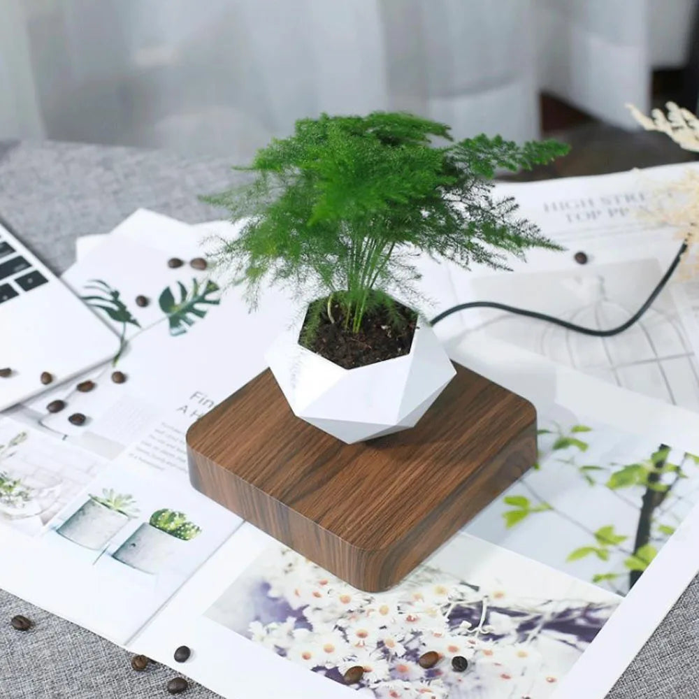 Floating Magnetic Bonsai Pot - Explore Ethereal