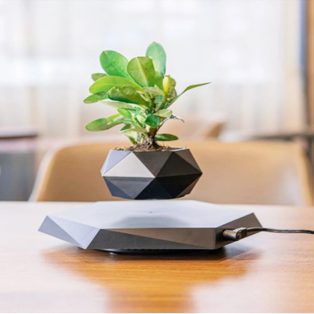 Floating Magnetic Bonsai Pot - Explore Ethereal